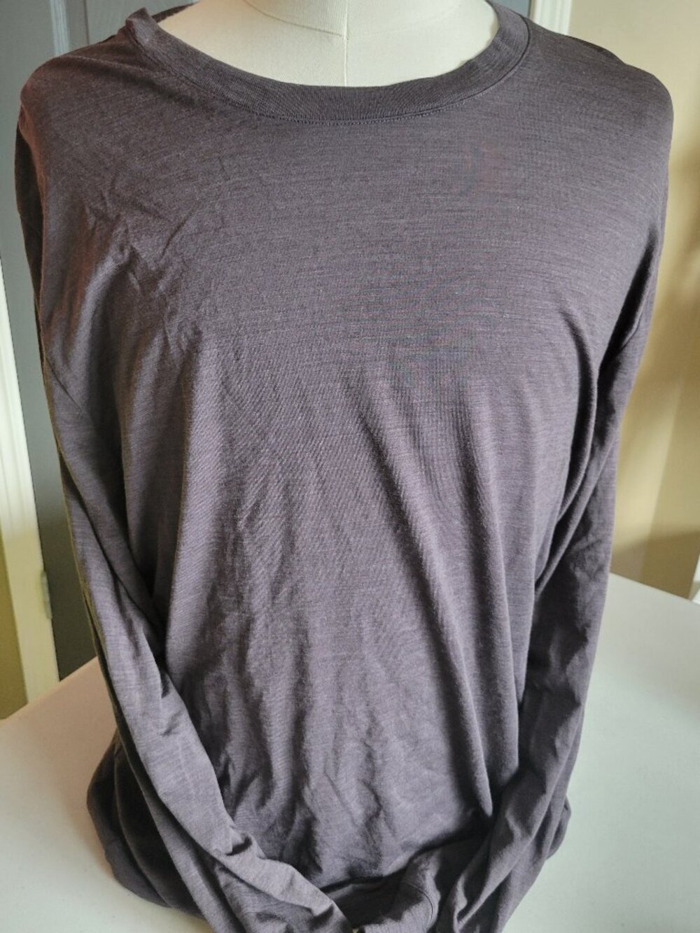Mens Large Gray Icebreaker Merino long-sleeve t-shirt
